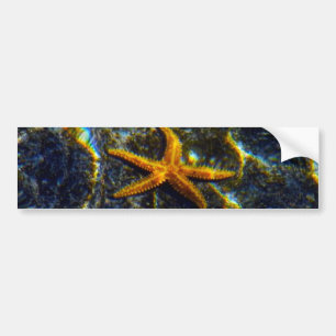 Adesivo Para Carro Autocolante de Starfish