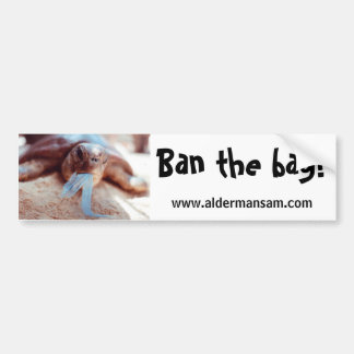 Adesivo Para Carro Autocolante no vidro traseiro