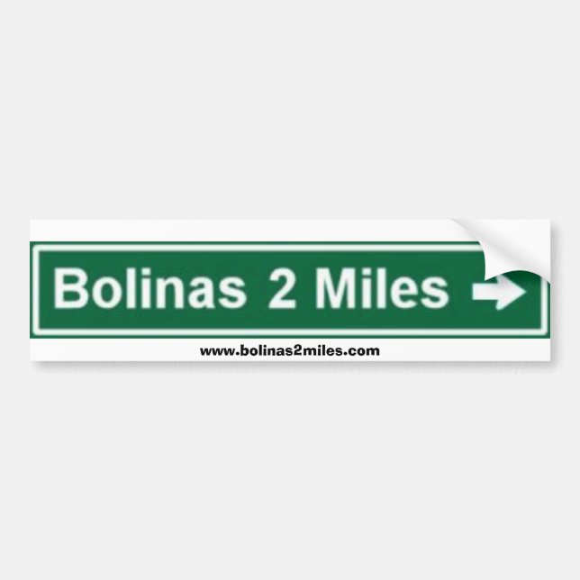 Adesivo Para Carro Autocolante no vidro traseiro (Frente)