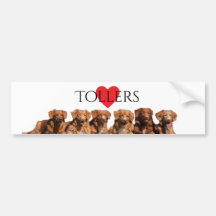 Autocolante no vidro traseiro anunciando do