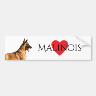 Adesivo Para Carro Autocolante no vidro traseiro belga de Malinois do