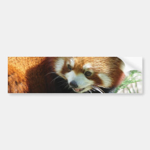 Adesivo Para Carro Autocolante no vidro traseiro bonito do urso de