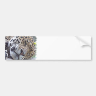 Adesivo Para Carro Autocolante no vidro traseiro da imagem do