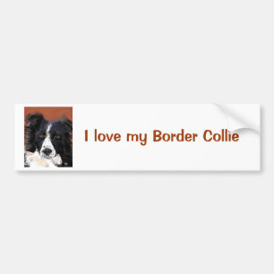 Adesivo Para Carro Autocolante no vidro traseiro de border collie
