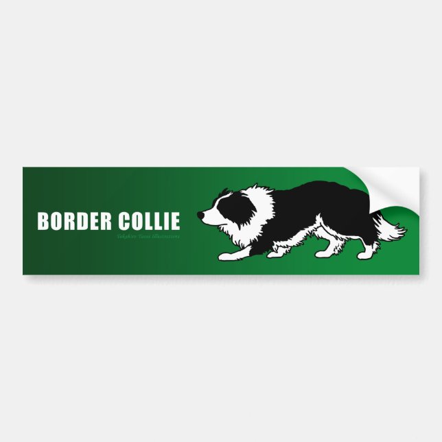 Adesivo Para Carro Autocolante no vidro traseiro de border collie (Frente)