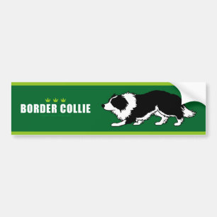 Adesivo Para Carro Autocolante no vidro traseiro de border collie