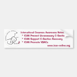 Adesivo Para Carro Autocolante no vidro traseiro de ICAN