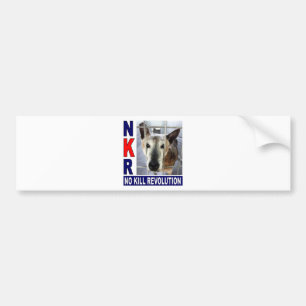 Adesivo Para Carro Autocolante no vidro traseiro de NKR