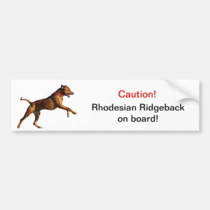Adesivo Para Carro Autocolante no vidro traseiro de Rhodesian