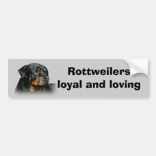Adesivo Para Carro Autocolante no vidro traseiro de Rottweiler