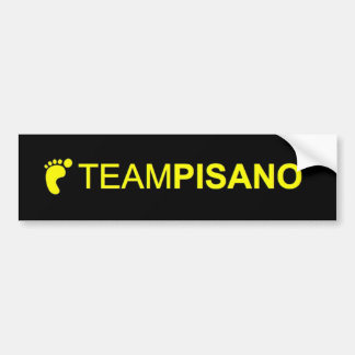 Adesivo Para Carro Autocolante no vidro traseiro de TeamPisano