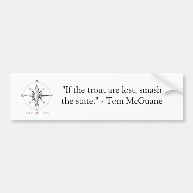 Adesivo Para Carro Autocolante no vidro traseiro de TNT (Frente)