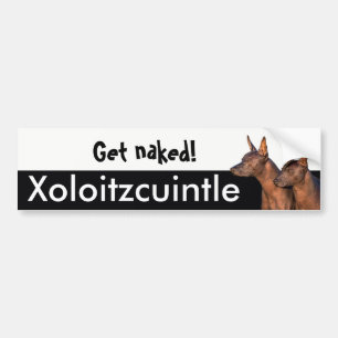 Adesivo Para Carro Autocolante no vidro traseiro de Xolitzcuintle