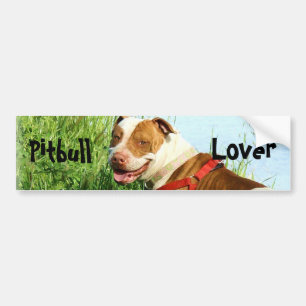 Adesivo Para Carro Autocolante no vidro traseiro do amante de Pitbull