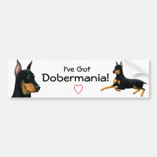 Adesivo Para Carro Autocolante no vidro traseiro do amor do Pinscher