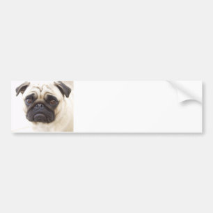 Adesivo Para Carro Autocolante no vidro traseiro do cão do Pug