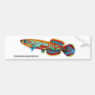 Adesivo Para Carro Autocolante no vidro traseiro do Killifish de