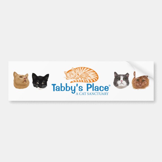 Adesivo Para Carro autocolante no vidro traseiro do Multi-retrato (Frente)