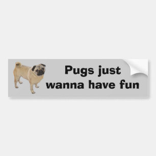 Adesivo Para Carro Autocolante no vidro traseiro do Pug