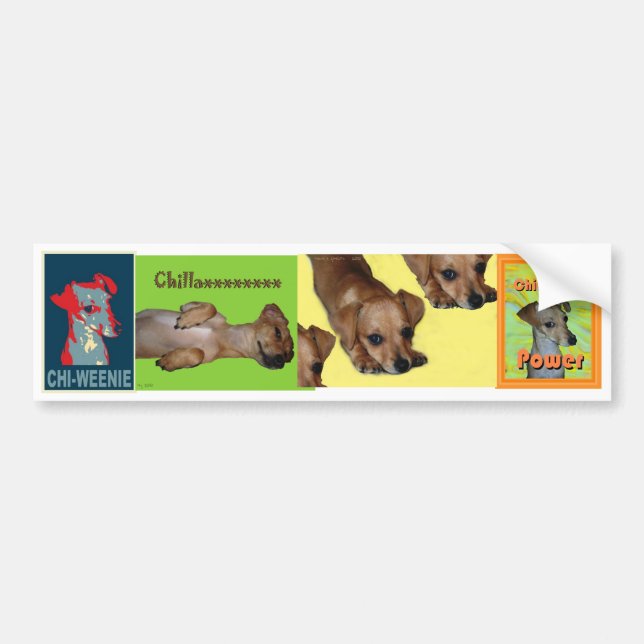 Adesivo Para Carro autocolante no vidro traseiro do Qui-weenie (Frente)