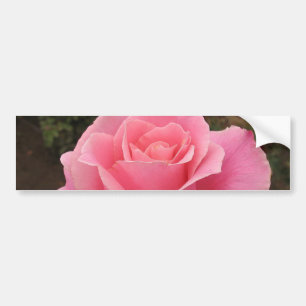 Adesivo Para Carro Autocolante no vidro traseiro do rosa do rosa
