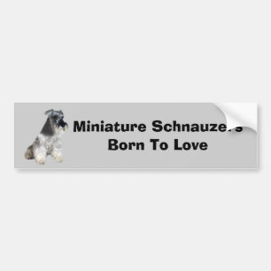 Adesivo Para Carro Autocolante no vidro traseiro do Schnauzer