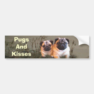 Adesivo Para Carro Autocolante no vidro traseiro dos Pugs e dos