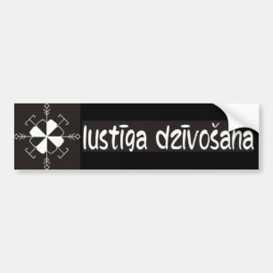 Adesivo Para Carro Autocolante no vidro traseiro letão
