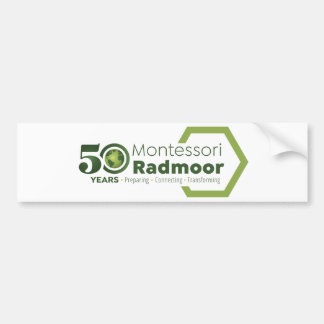 Adesivo Para Carro Autocolante no vidro traseiro - opção 2