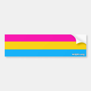 Adesivo Para Carro Autocolante no vidro traseiro Pansexual da