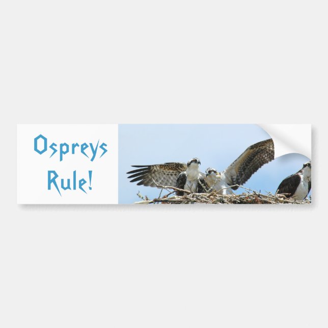 Adesivo Para Carro Autocolante Ospreys Rule Bumper (Frente)