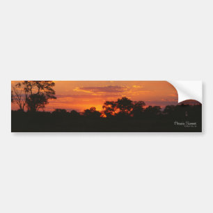 Adesivo Para Carro Autocolantes Acacia Sunset