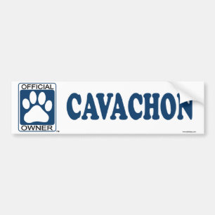 Adesivo Para Carro Azul de Cavachon