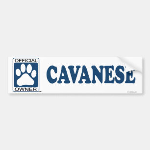 Adesivo Para Carro Azul de Cavanese