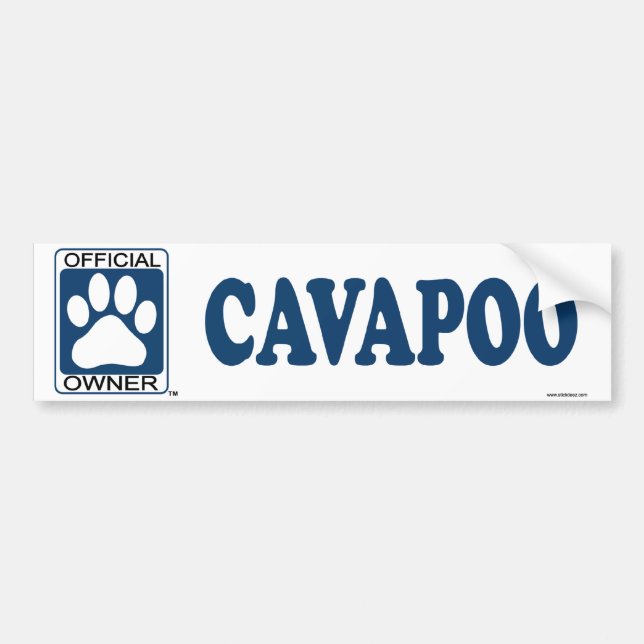Adesivo Para Carro Azul de Cavapoo (Frente)