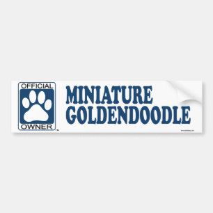 Adesivo Para Carro Azul diminuto de Goldendoodle