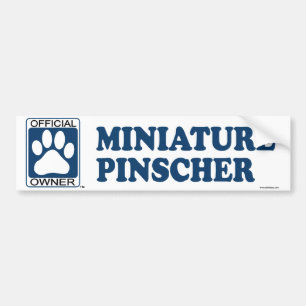Adesivo Para Carro Azul do Pinscher diminuto