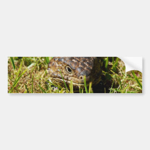 Adesivo Para Carro Azul-Tongue-Lizard A Derramar A Grama,