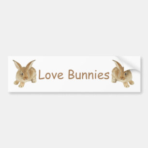 ADESIVO PARA CARRO BABY BUNNY