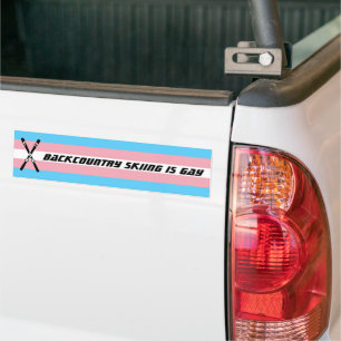 Adesivo Para Carro Backcountry is Gay (trans pride)