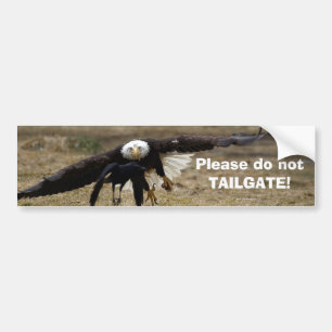 Adesivo Para Carro Bald Eagle e Raven Chase Funny Bumpersticker