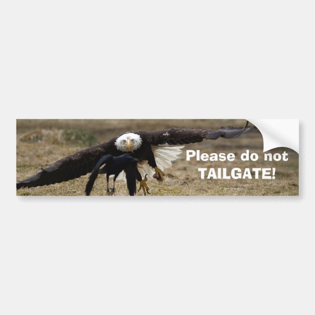 Adesivo Para Carro Bald Eagle e Raven Chase Funny Bumpersticker (Frente)
