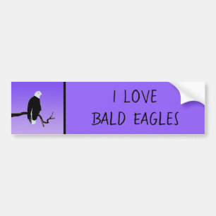 Adesivo Para Carro Bald Eagle em Sunset - Arte original sobre a vida