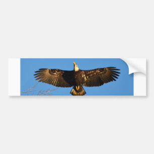 Adesivo Para Carro Bald Eagle Soaring1