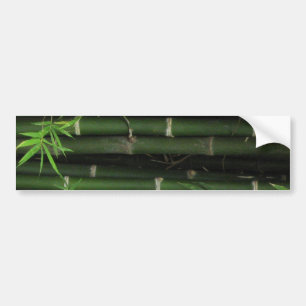 Adesivo Para Carro Bambu... Fao Rai, Nong Khai, Isaan, Tailândia