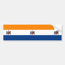 Bandeira de Albany (Nova Iorque)