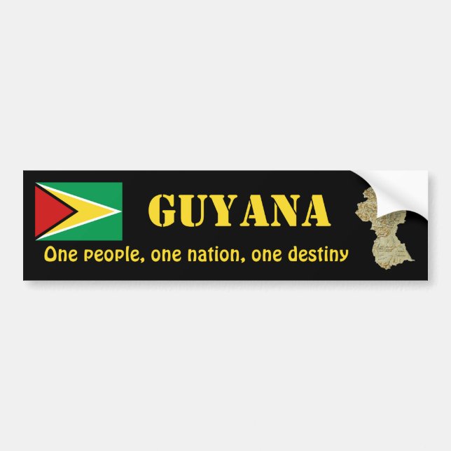 Adesivo Para Carro Bandeira de Guyana + Autocolante no vidro traseiro (Frente)