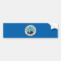 Bandeira de Rochester (Minnesota)
