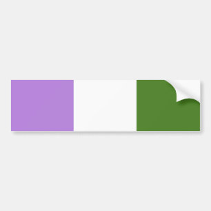Adesivo Para Carro Bandeira do Orgulho Queer