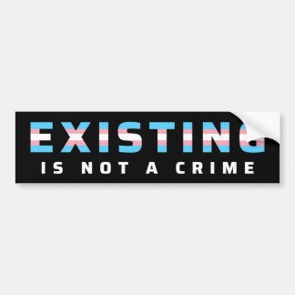 Adesivo Para Carro Bandeira do Orgulho Trans existente não é crime